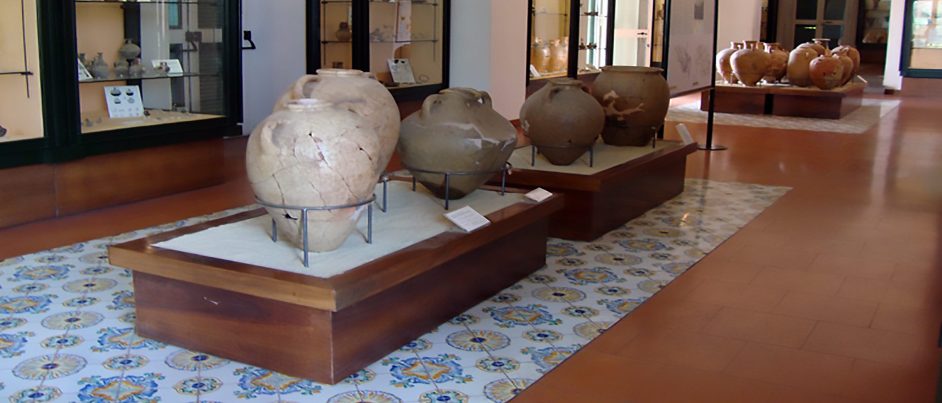 Museo-Pithecusae-Villa-Arbusto
