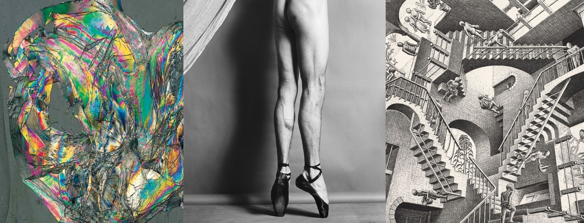 Mostre Di Arte Contemporanea Artecard