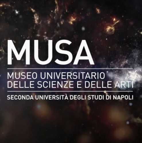 MuSa – Museo Universitario delle Scienze e delle Arti