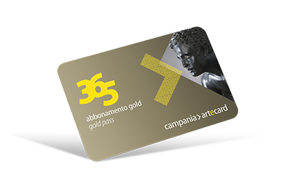 365 Gold Pass - Artecard